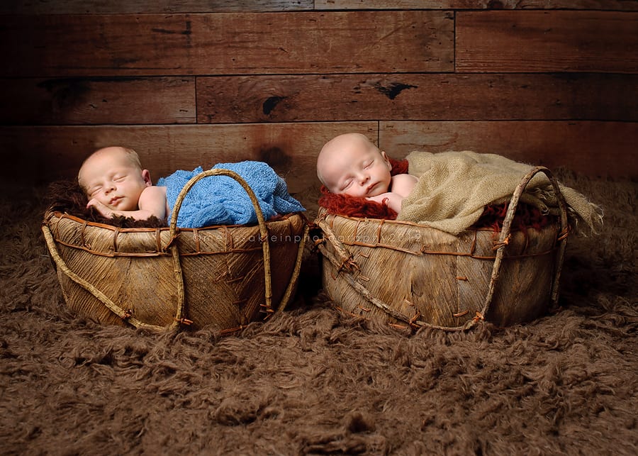 newborn baby twins in basket