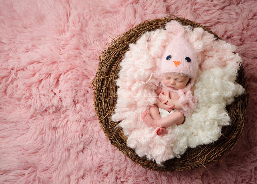 Newborn girl in bird nest with pink