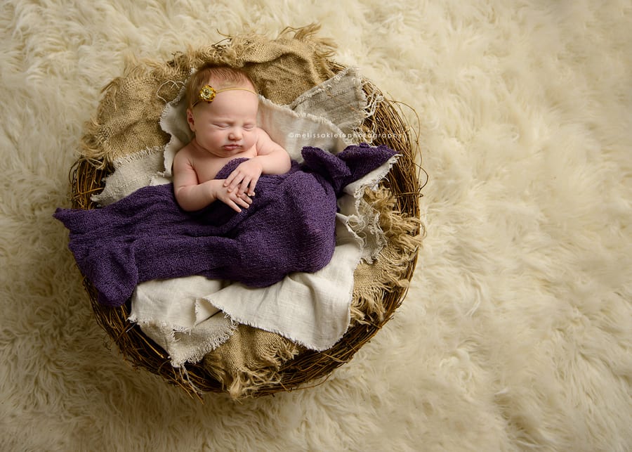 MN newborn photographer