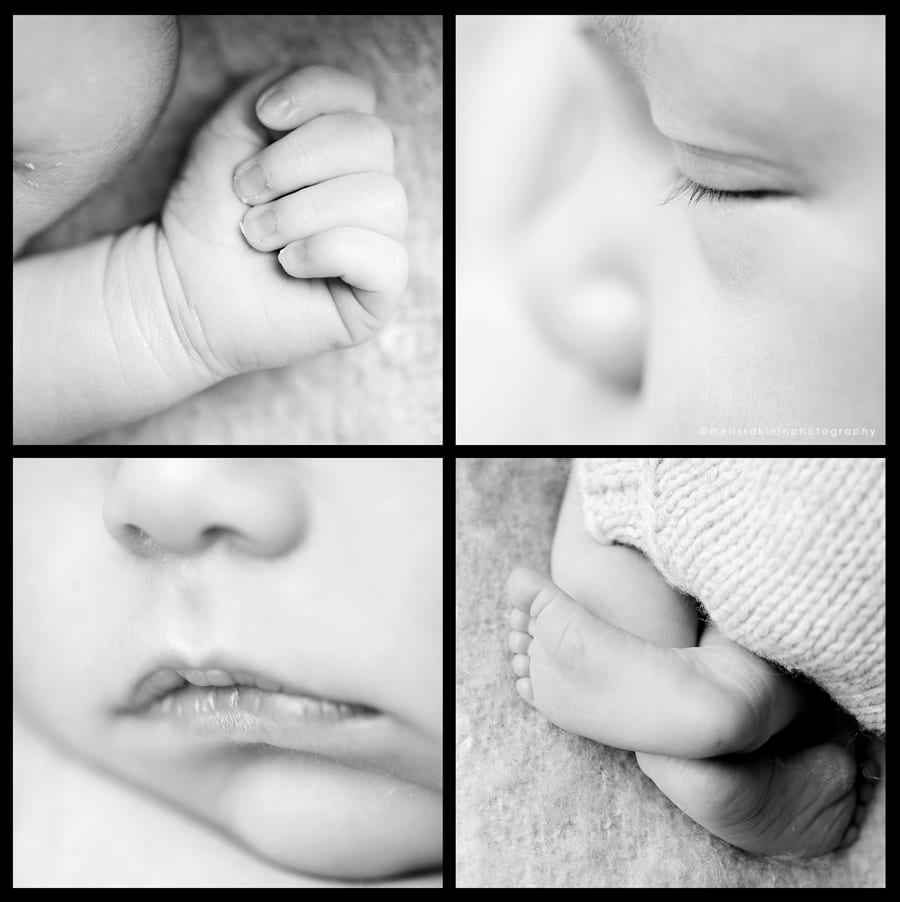 newborn photography mn
