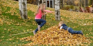 kids jumping into a big leaf pile
