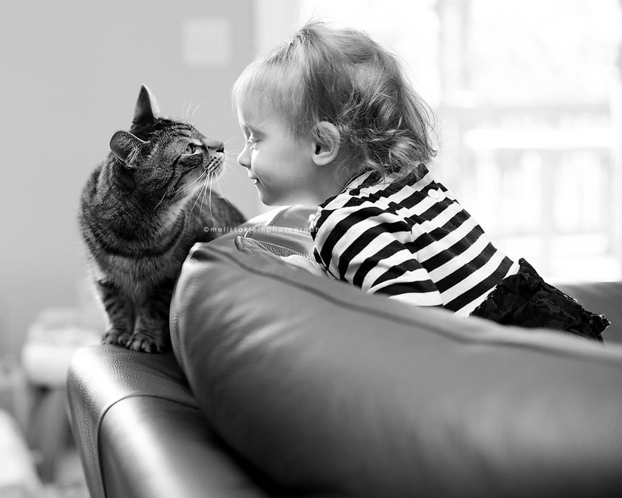 toddler girl and her cat
