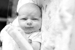 maple grove newborn photographer