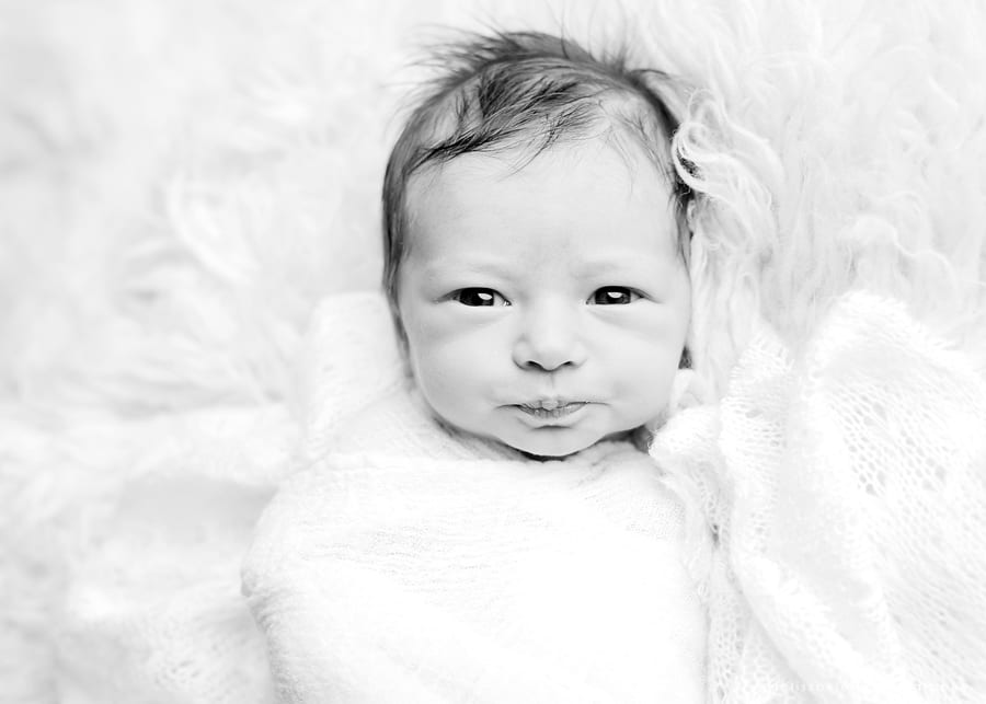 monticello newborn photographer