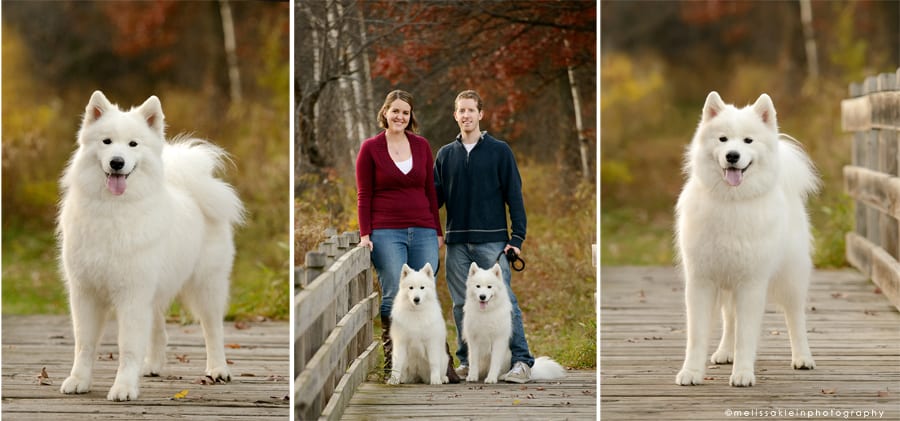 Family photographer in Andover MN