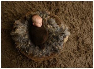 newborn photographer in Andover