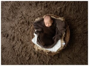 Saint Paul newborn photographer