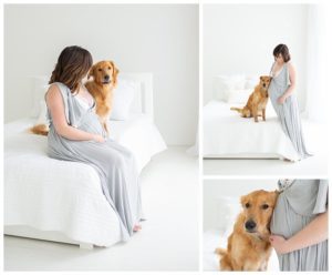Maternity photos with dog