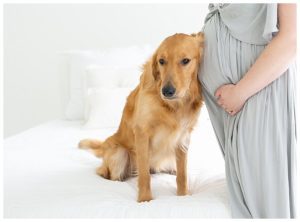 best maternity photo with dog