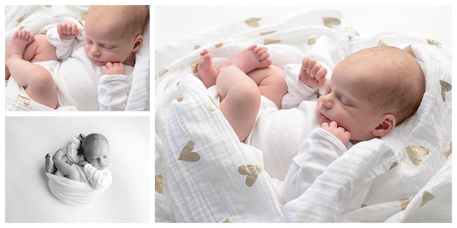 curled up newborn photos on white