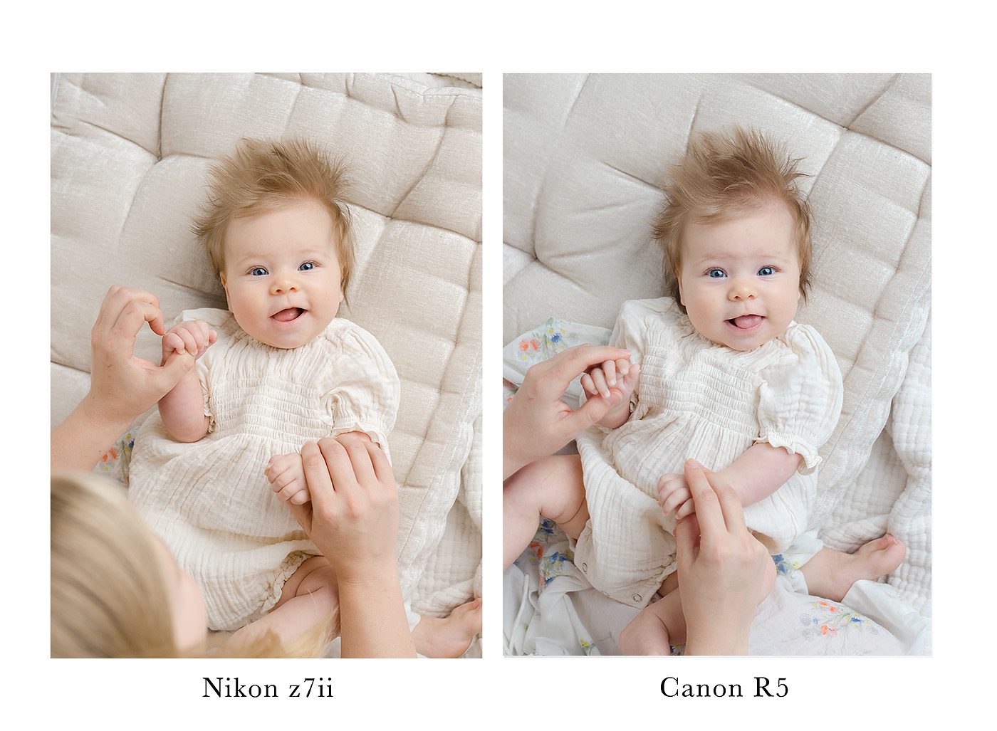 Nikon z7II vs Canon r5 photo comparisons with refined II edits and studio light