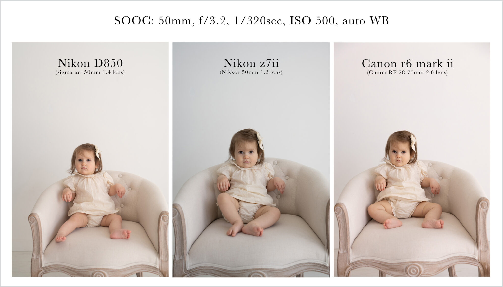 Nikon D850 Nikon Z7ii Canon R6mii Camera Comparison 02 Melissa Klein Nikon D850 Nikon Z7ii Canon R6mii Camera Comparison 02 Melissa Klein