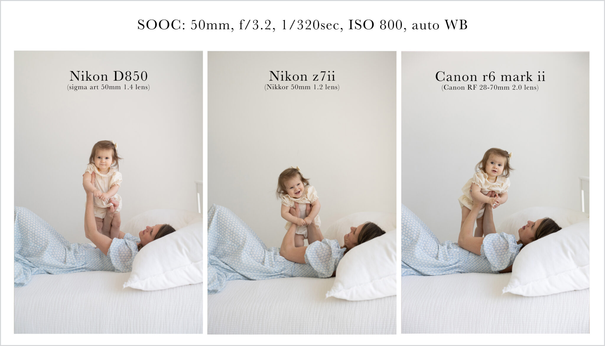 Nikon D850 Nikon Z7ii Canon R6mii Camera Comparison 04 Melissa Klein Nikon D850 Nikon Z7ii Canon R6mii Camera Comparison 04 Melissa Klein