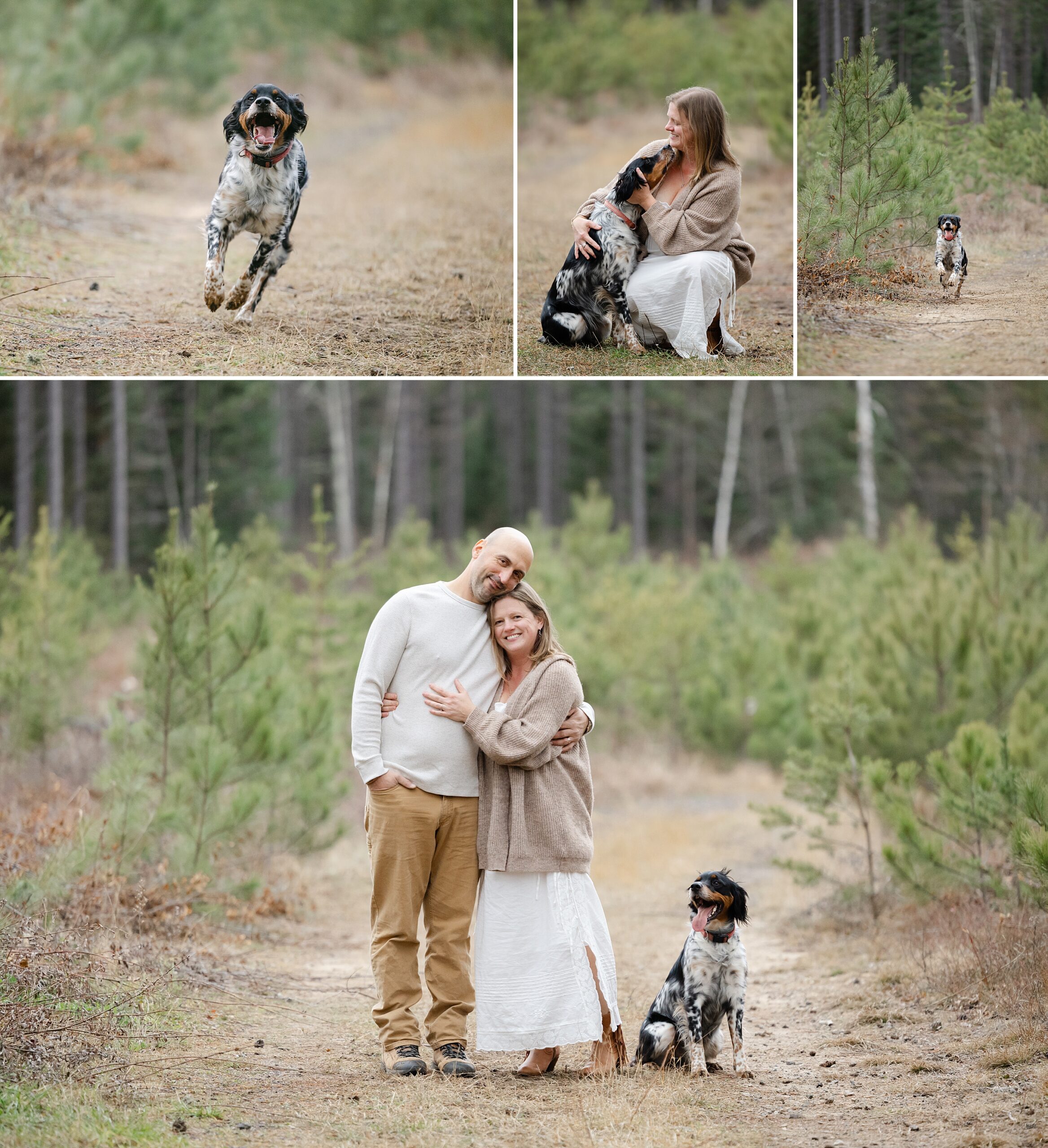 photos of show dog running and sitting with family