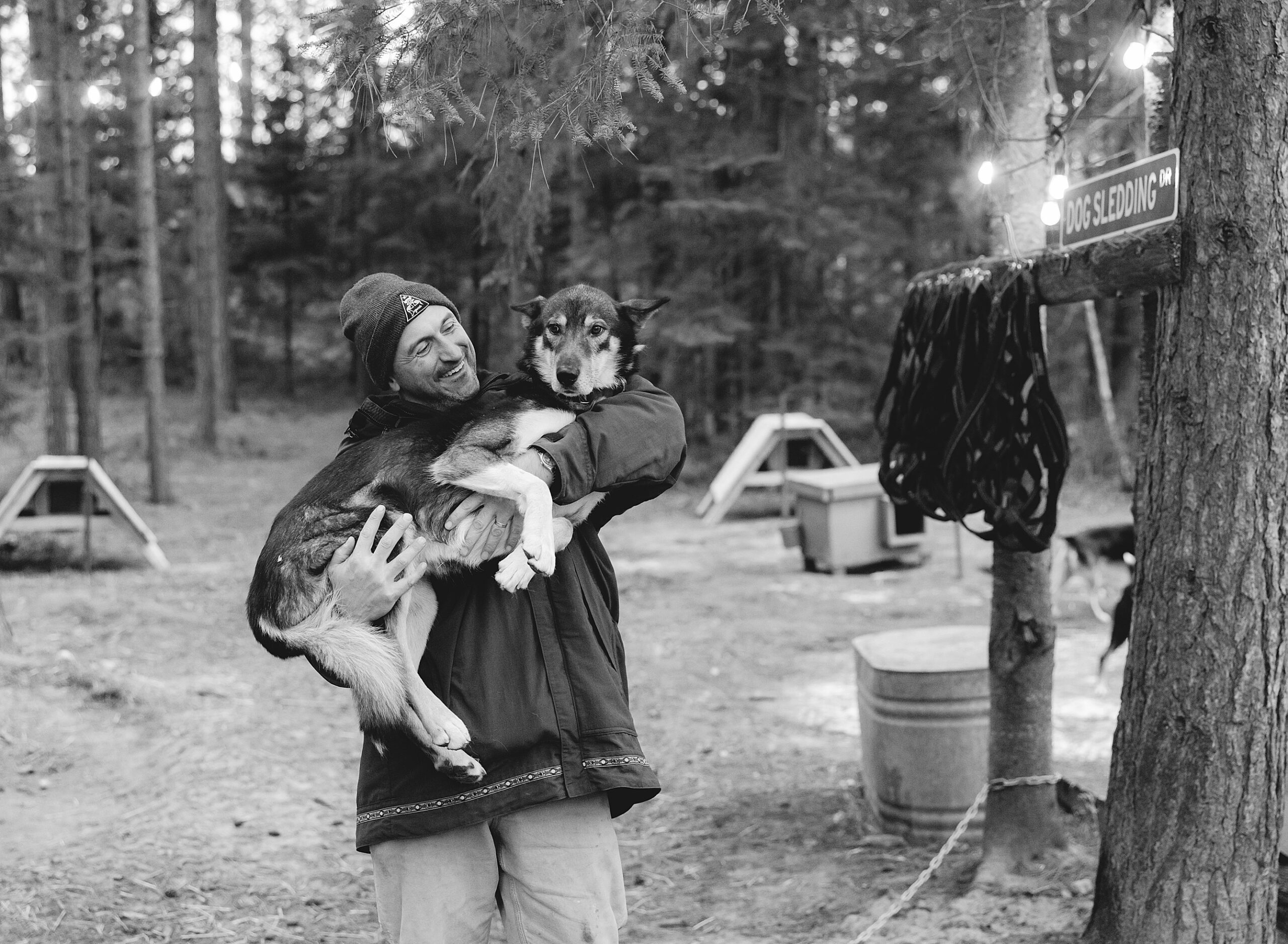black and white photo of man carrying sled dog