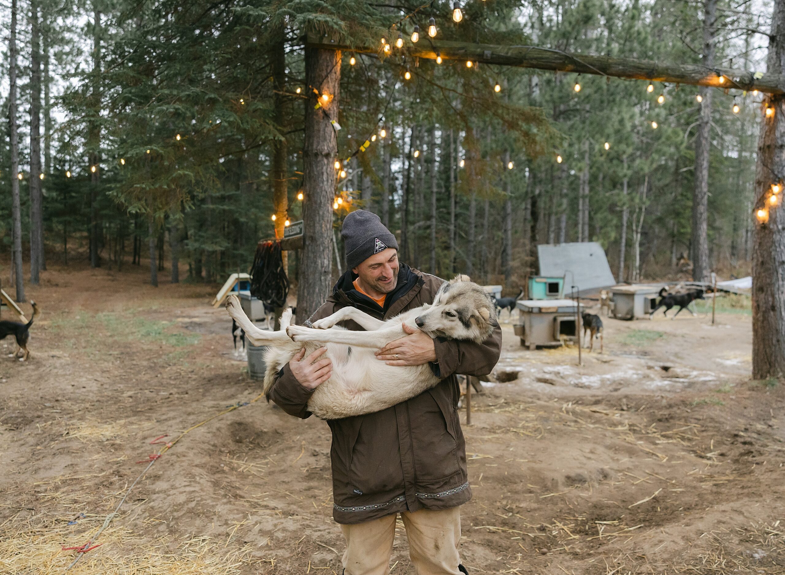 man carrying sled dog